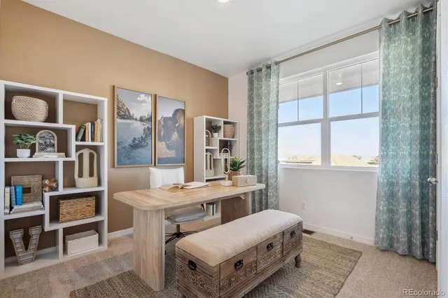a room with furniture and a book shelf