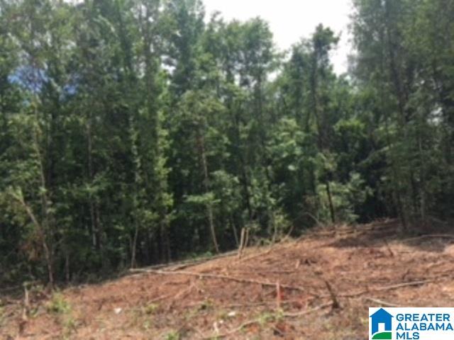 325 Springhill Road, Unit 1 Talladega, AL 35160 - Photo 25 of 31