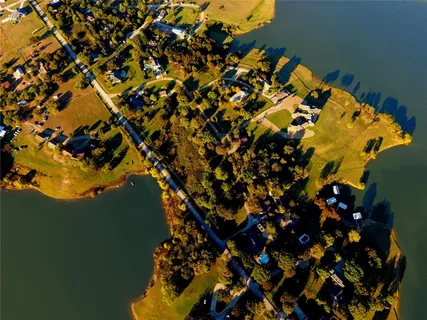 a picture of flowers