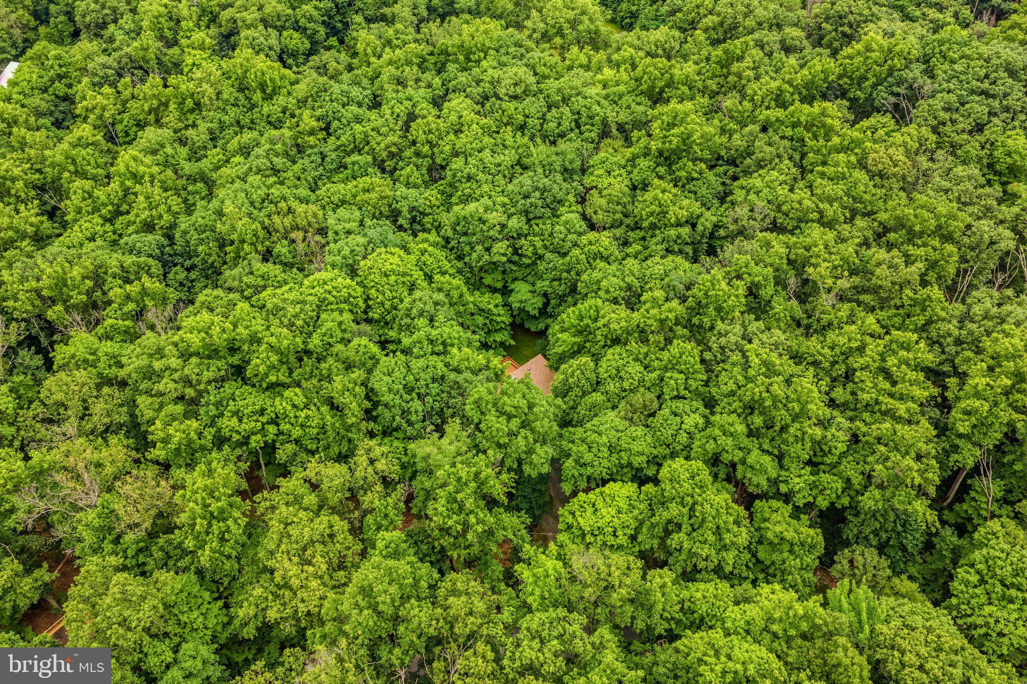 221 Mountainside Road Berkeley Springs, WV 25411 - Photo 50 of 53 Property Aerial