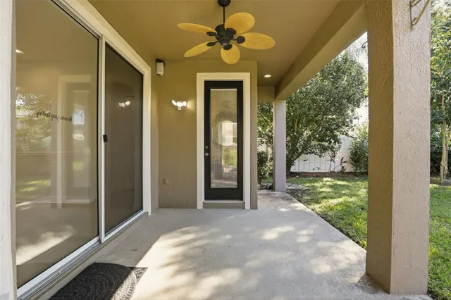a view of a park with palm trees