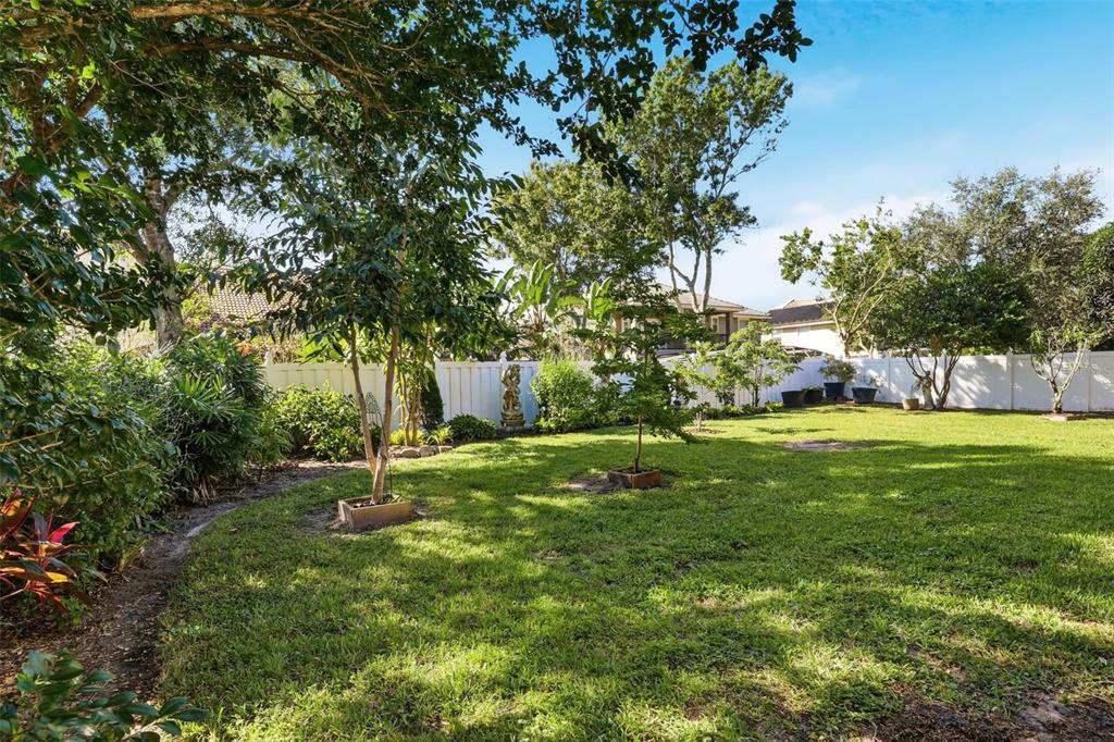 93 Braelock Drive Ocoee, FL 34761 - Photo 49 of 58 a view of a tree in a yard