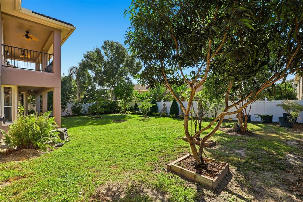 93 Braelock Drive Ocoee, FL 34761 - Photo 52 of 58 a view of a backyard with table and chairs and potted plants