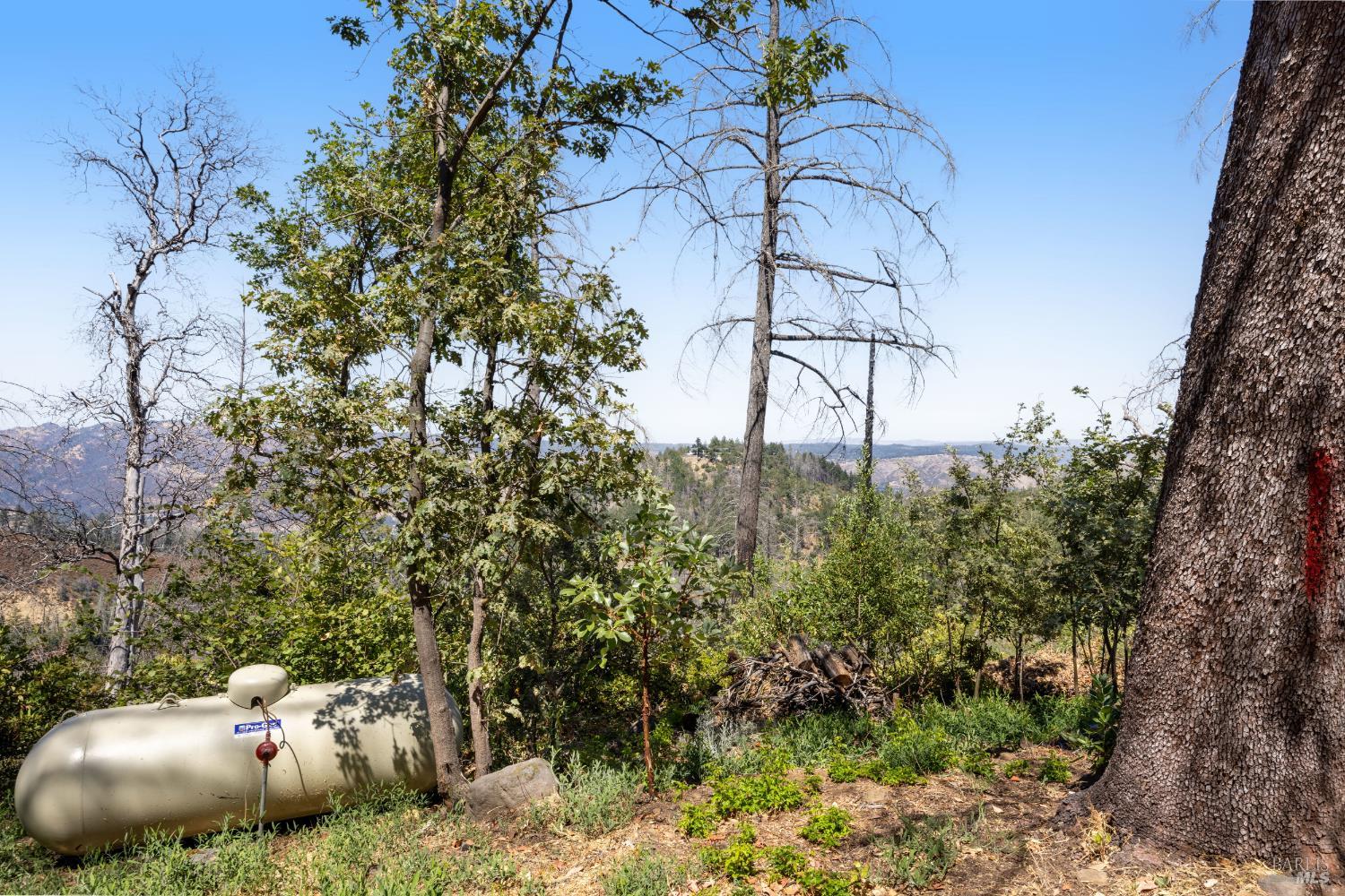 3880 Spring Mountain Road St. Helena, CA 94574 - Photo 47 of 57