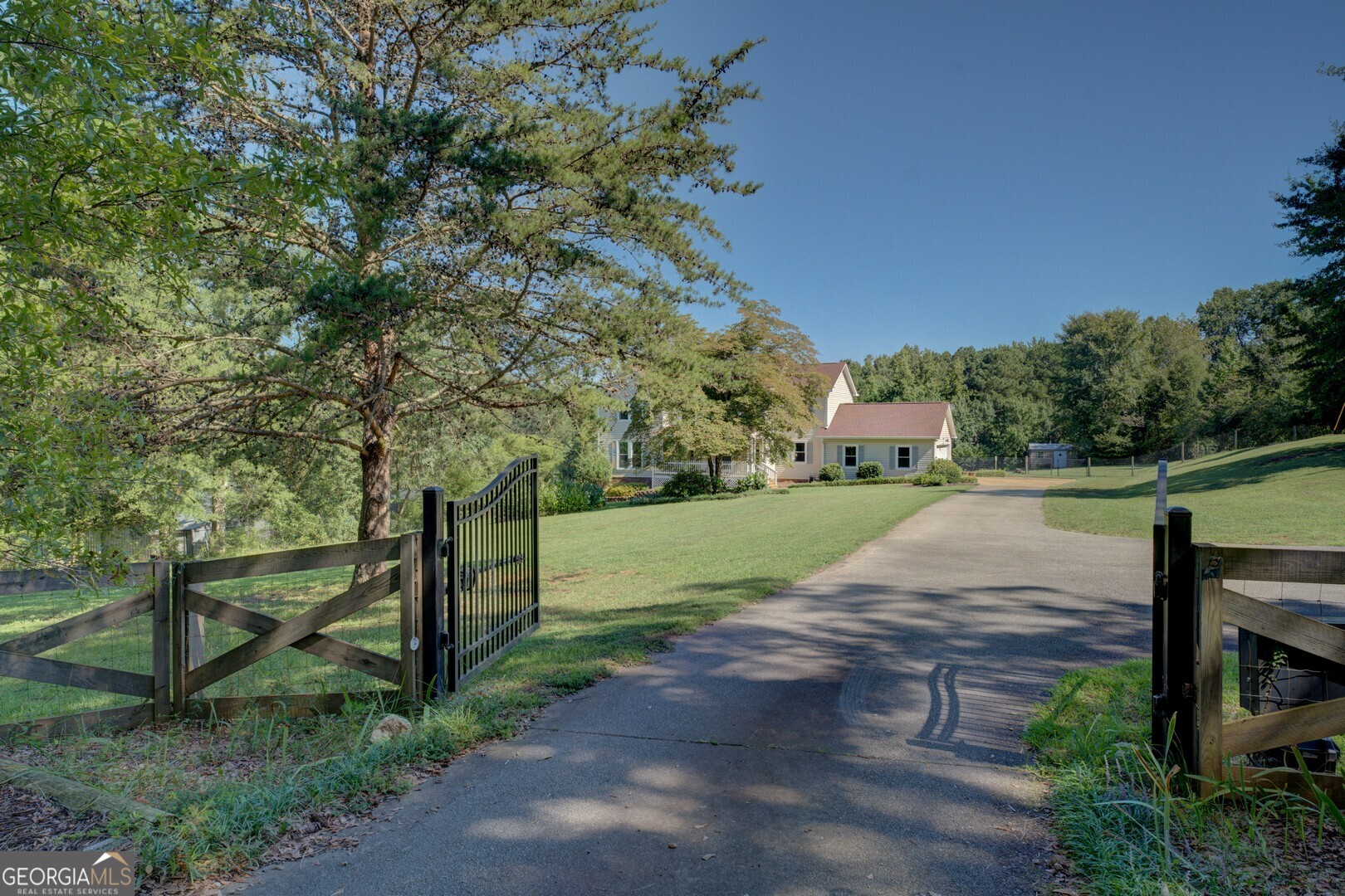 a view of a park with large trees