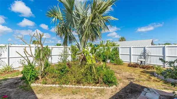 a view of a yard with plants