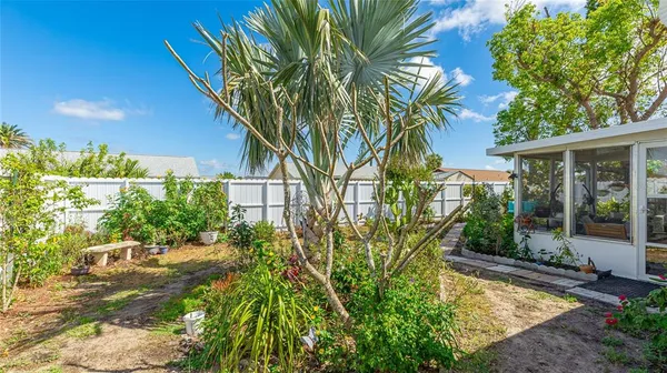 a view of a yard with plants and large trees