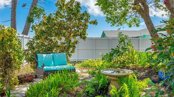 a view of a garden with plants