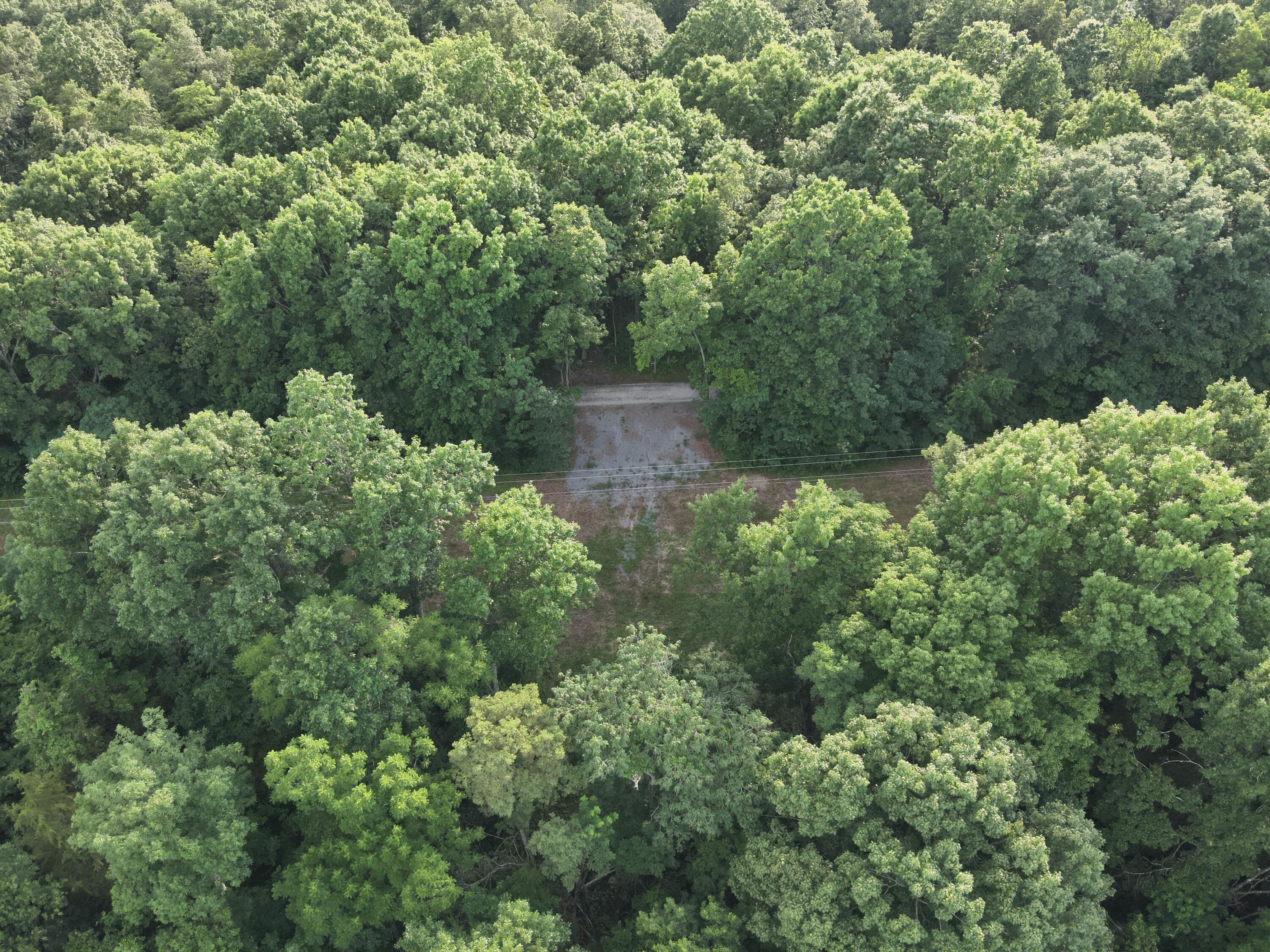 697 Galbraith Road Brooksville, KY 41004 - Photo 4 of 5 DJI_20260707191225_0014_V