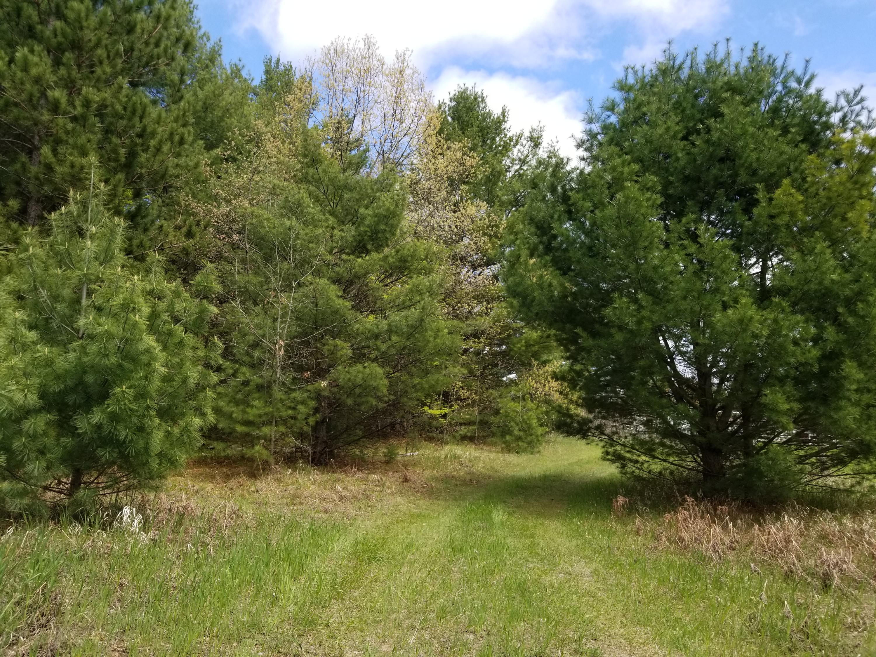 Galbraith Road Mio, MI 48647 - Photo 2 of 9 Gallery Image 2