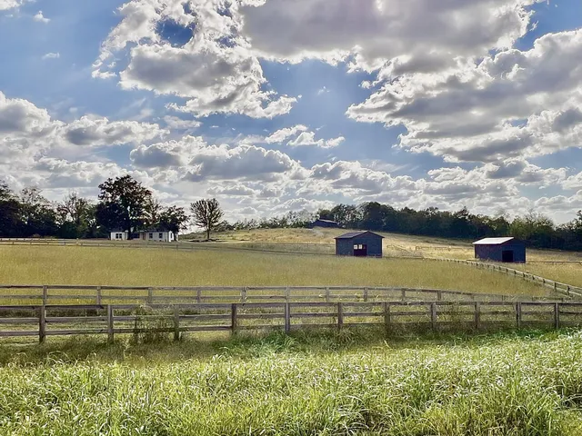 a view of a house with pool and a yard
