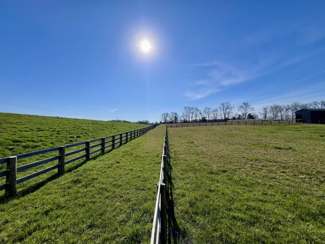 a large kitchen with kitchen island a stove a sink a refrigerator and white cabinets with wooden floor