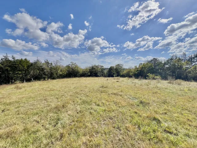a view of a porch with furniture and garden