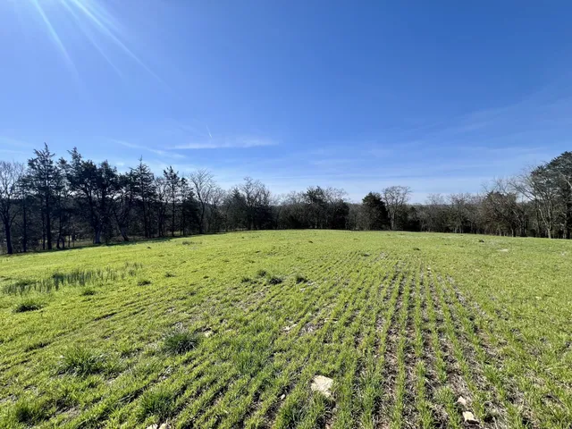 $879,000 | 2250 Elkton Pike, Pulaski, TN 38478