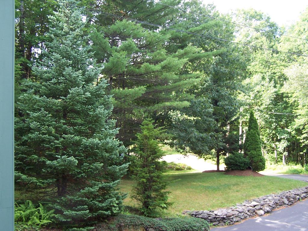 45 Basin Lane Barnstead, NH 03225 - Photo 3 of 17 Gallery Image 3
