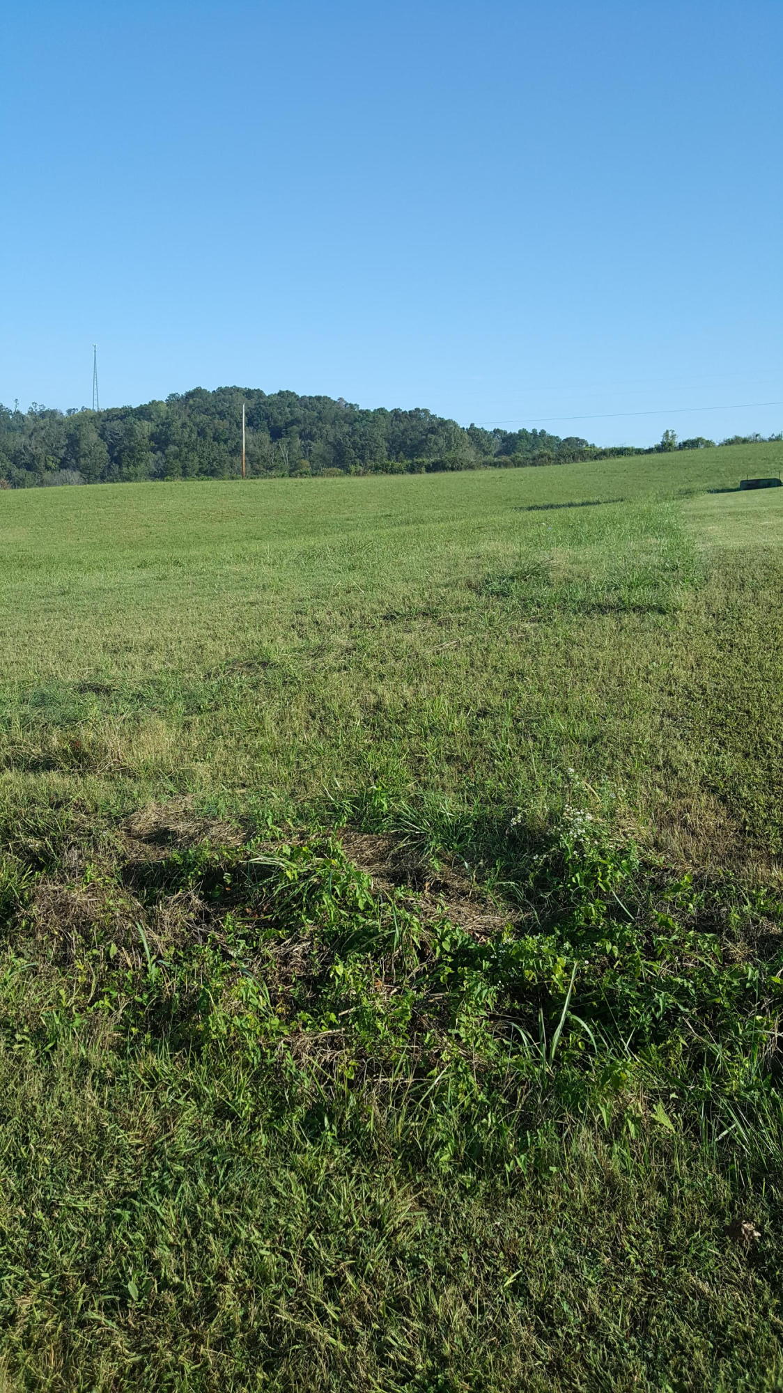 Coffey Heights Rutledge, TN 37861 - Photo 1 of 4 20171012_095211