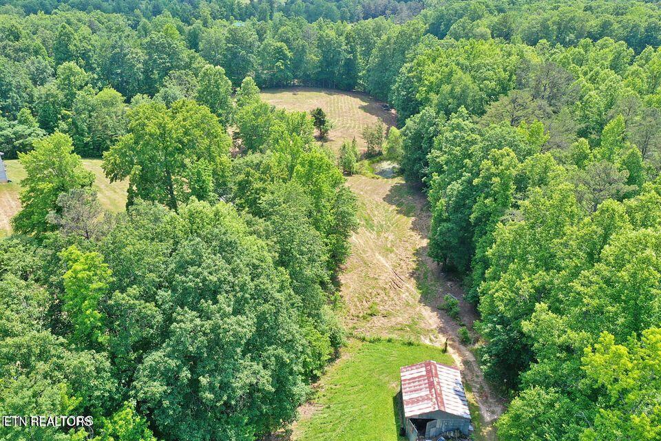 4989 Big Ridge Road Oneida, TN 37841 - Photo 2 of 11 20250415172256599731000000-o