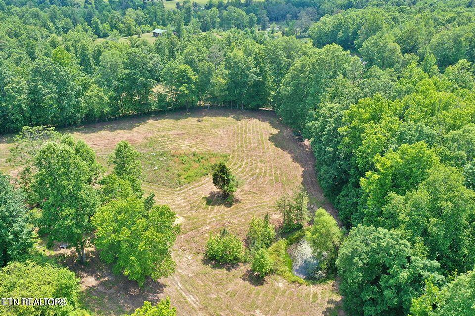 4989 Big Ridge Road Oneida, TN 37841 - Photo 3 of 11 20250415172345696002000000-o