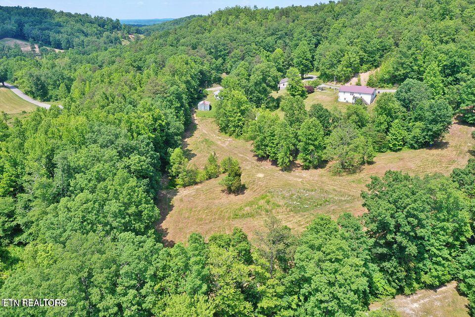 4989 Big Ridge Road Oneida, TN 37841 - Photo 4 of 11 20250415172358484853000000-o