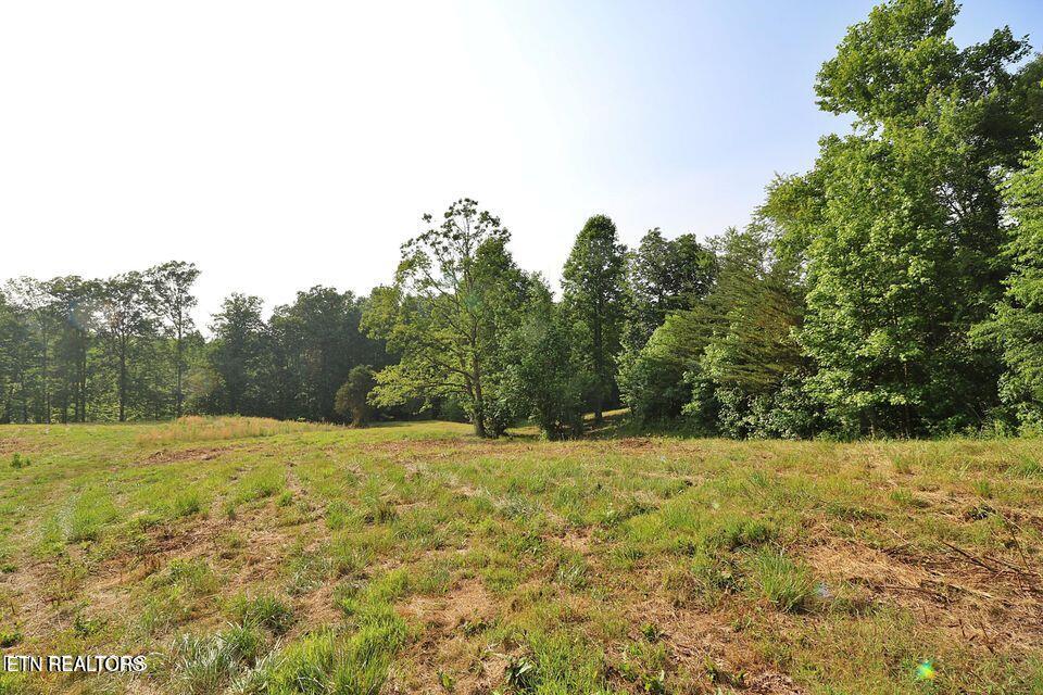 4989 Big Ridge Road Oneida, TN 37841 - Photo 5 of 11 20250415171931381031000000-o