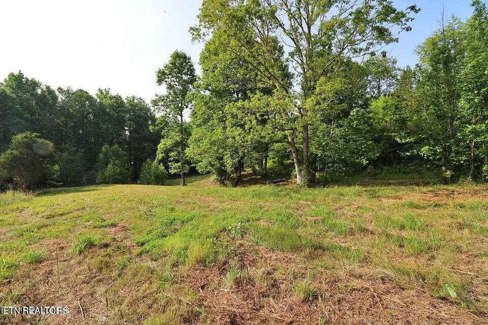 4989 Big Ridge Road Oneida, TN 37841 - Photo 6 of 11 20250415171943165800000000-o