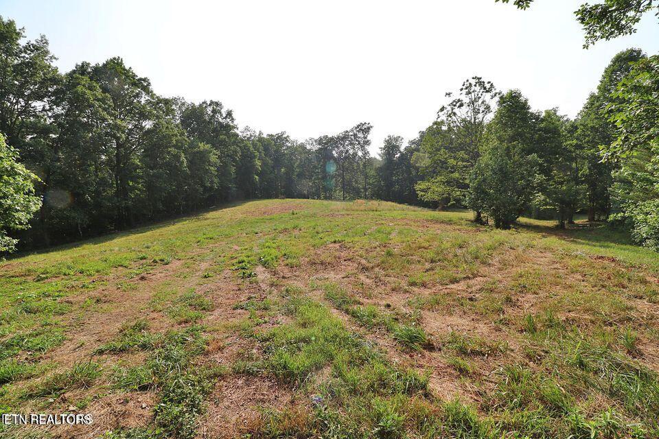 4989 Big Ridge Road Oneida, TN 37841 - Photo 7 of 11 20250415172005447557000000-o