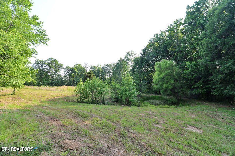4989 Big Ridge Road Oneida, TN 37841 - Photo 8 of 11 20250415171921297801000000-o
