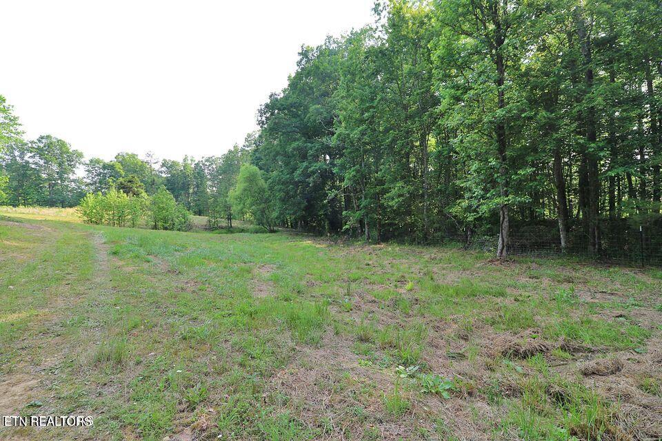 4989 Big Ridge Road Oneida, TN 37841 - Photo 9 of 11 20250415172220605365000000-o