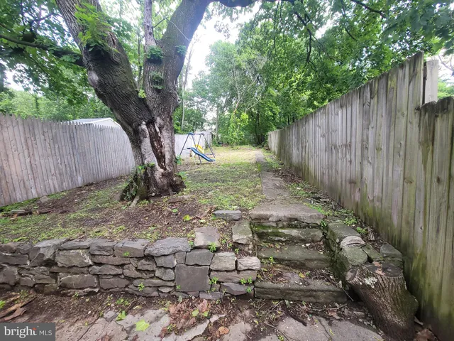 a view of a yard with plants and a large tree