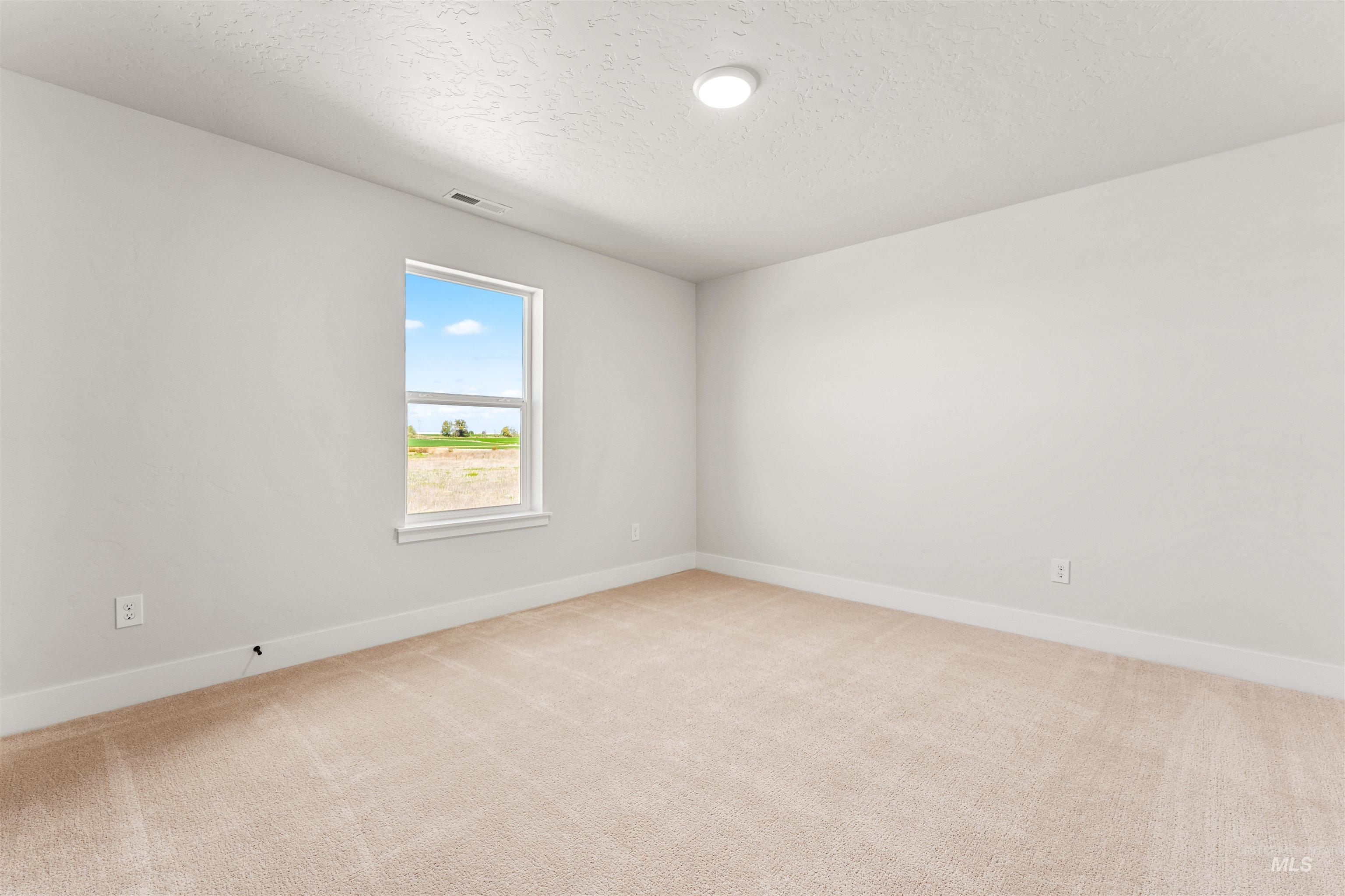 2709 West Gidran Meridian, ID 83642 - Photo 29 of 43 Bright interior room featuring a single window, light beige carpeting, white baseboards, and a ceiling-mounted light fixture