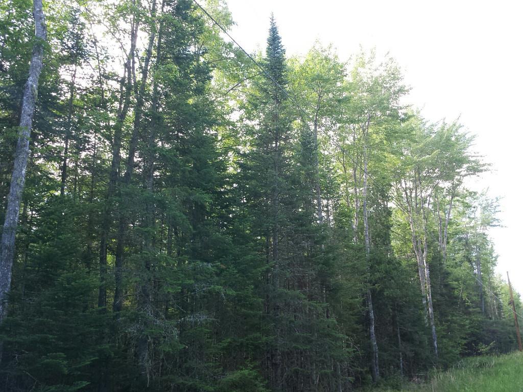 Map 4-lot Map 4-lot Edinburg Road Howland, ME 04448 - Photo 10 of 12 Photo