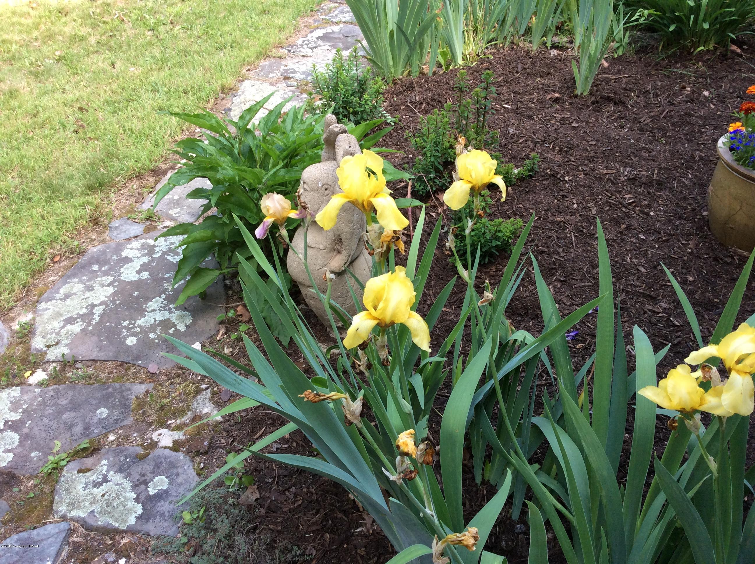 319 Henry's Crossing Road Cresco, PA 18326 - Photo 27 of 29 a view of a flower in a garden