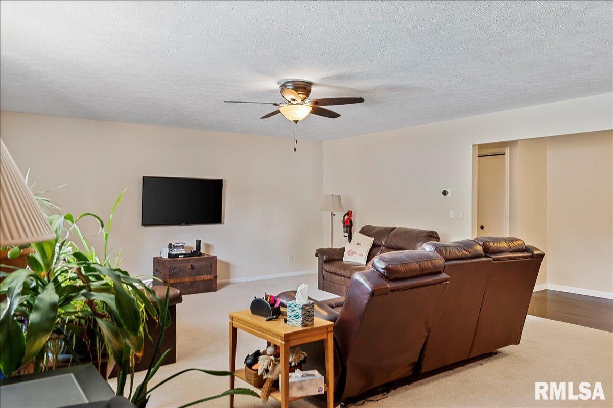 45 Merlin Drive Rochester, IL 62563 - Photo 13 of 50