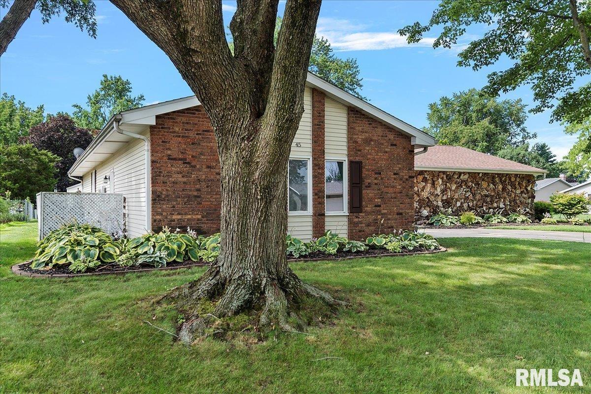 45 Merlin Drive Rochester, IL 62563 - Photo 5 of 50