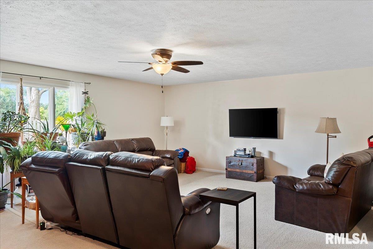 45 Merlin Drive Rochester, IL 62563 - Photo 10 of 50