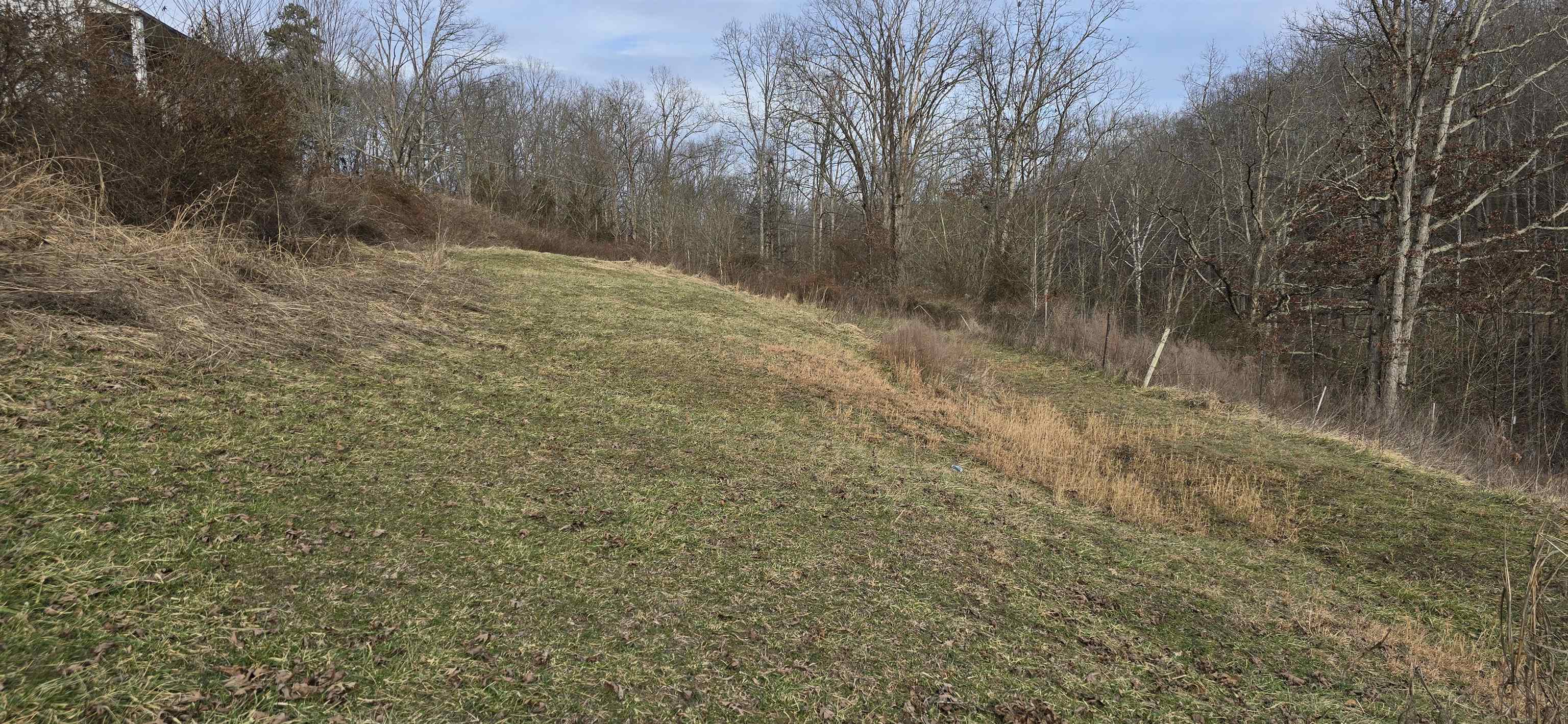 559 East Muddy Branch Road Flatwoods, KY 41139 - Photo 22 of 35 Gallery Image 22