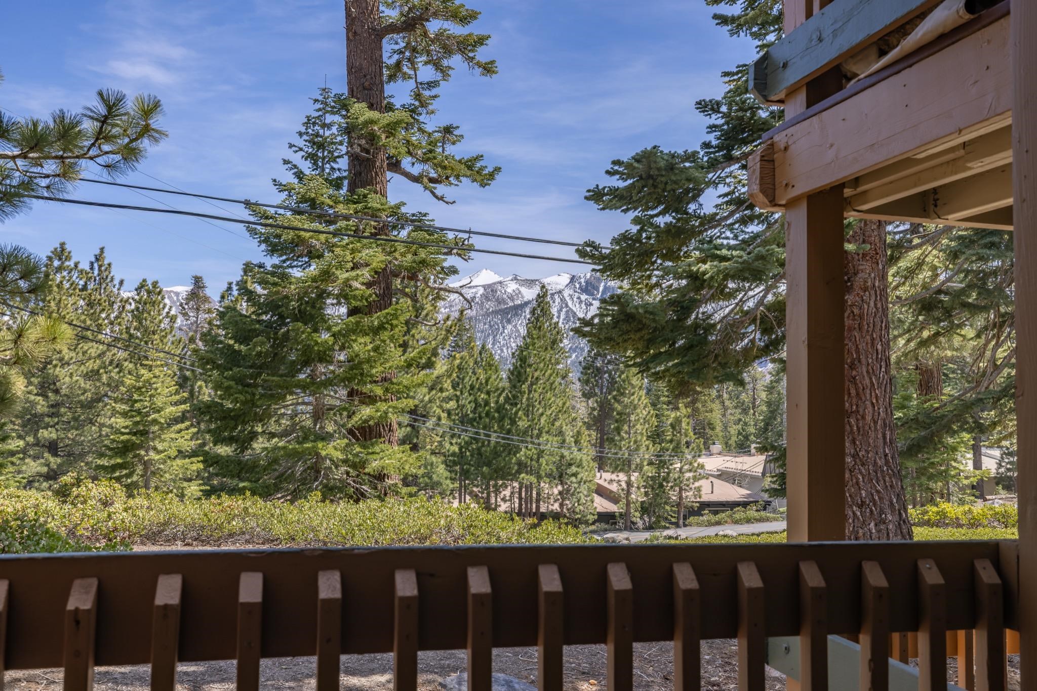 25 Lee Road, Unit 103 Mammoth Lakes, CA 93546 - Photo 2 of 29 a view of a garden