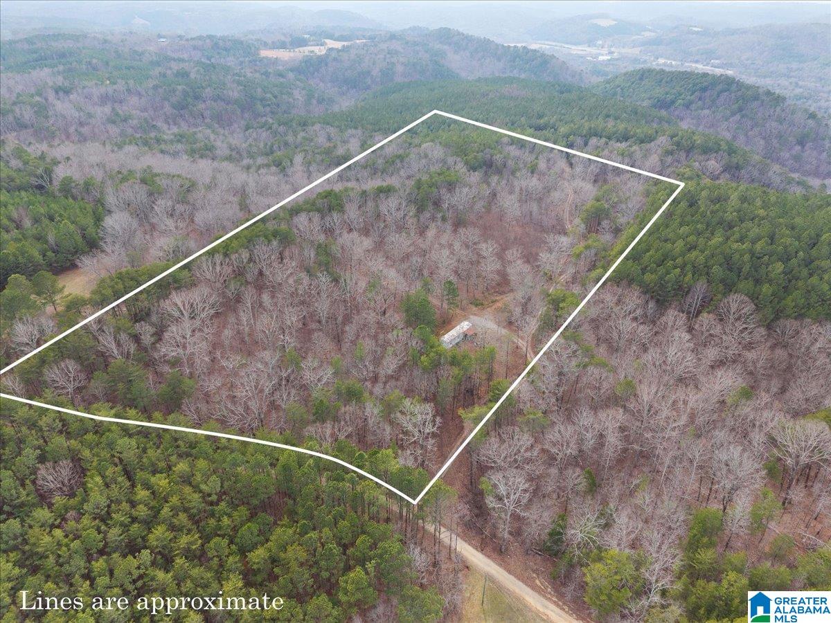 1484 Waid Road Oneonta, AL 35121 - Photo 2 of 33