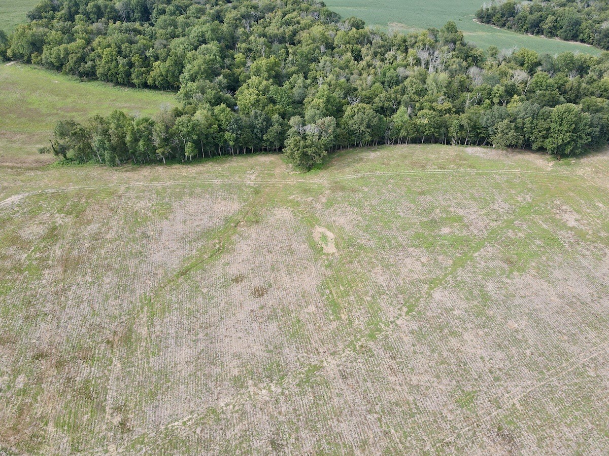5 Shelbyville Road Morrison, TN 37357 - Photo 2 of 7 Gallery Image 2