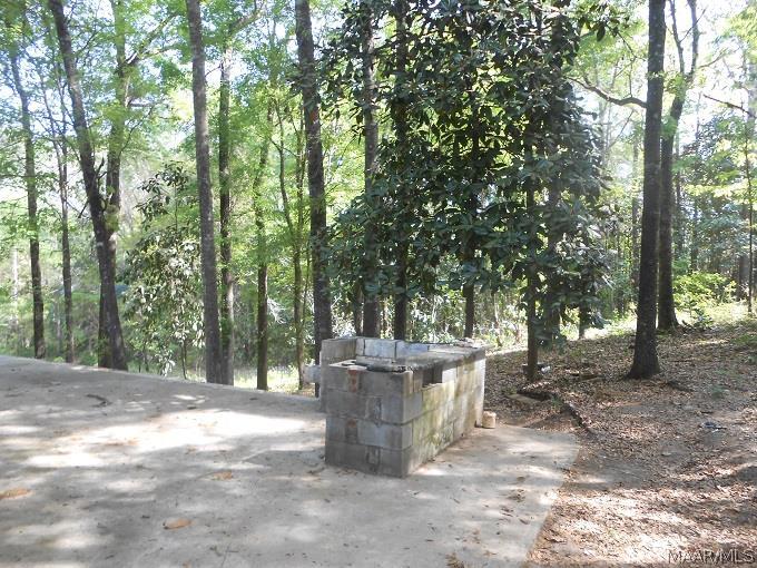 1264 Roaring Road Hartford, AL 36344 - Photo 10 of 31 Gallery Image 10