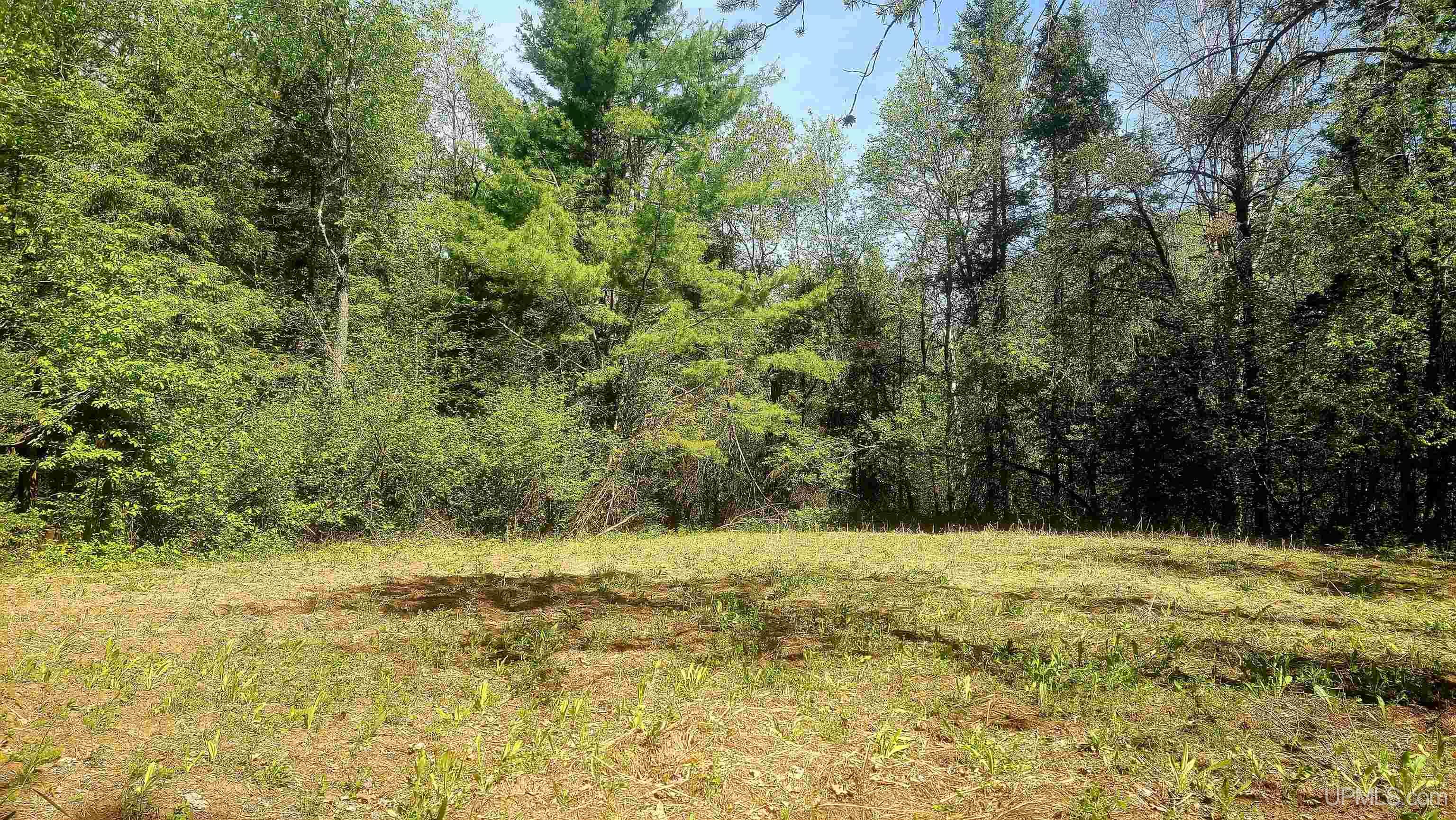 T-wi Wi 54119 Road Dunbar, WI 54119 - Photo 20 of 25 Gallery Image 20