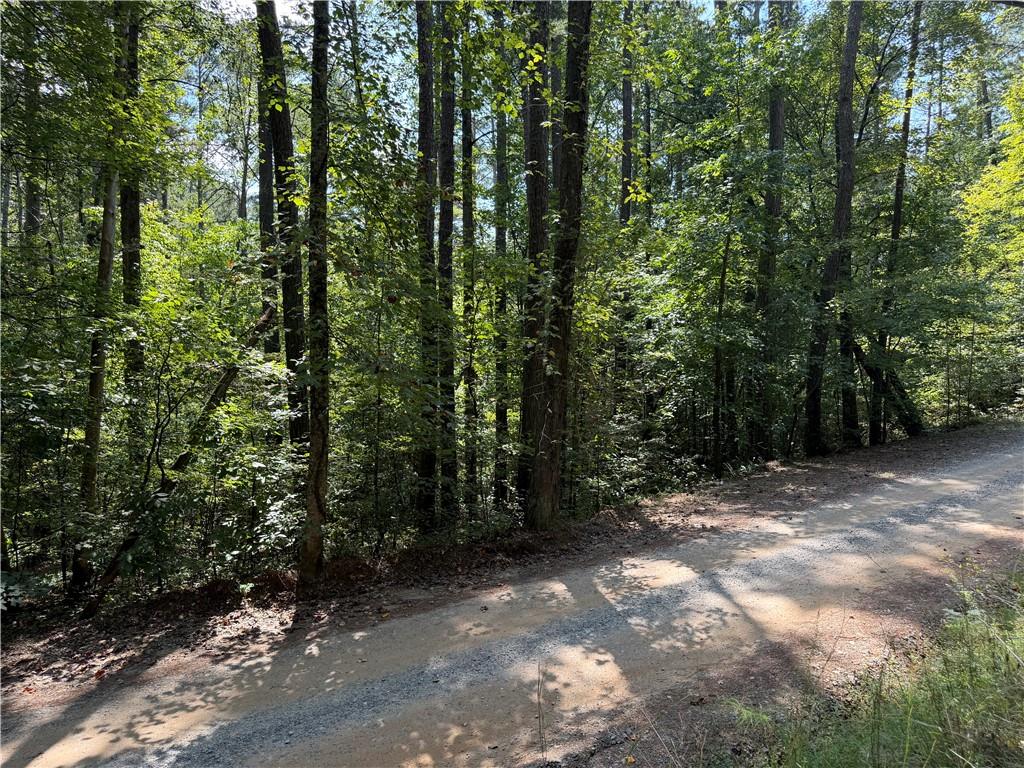 32 Mission Hill Road Ellijay, GA 30540 - Photo 5 of 13 Gallery Image 5