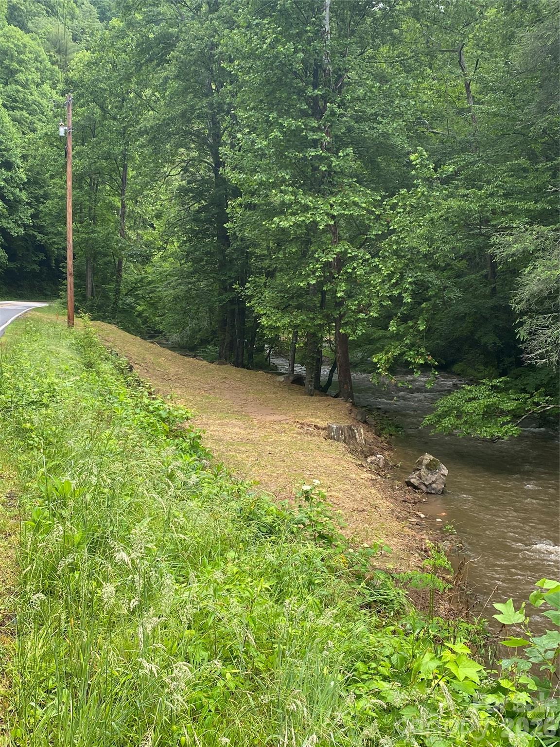 0 Big Laurel Road Marshall, NC 28753 - Photo 2 of 13 a view of a field with a tree