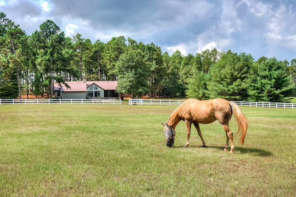 295 Fox Pond Road Aiken, SC 29801 - Photo 51 of 53