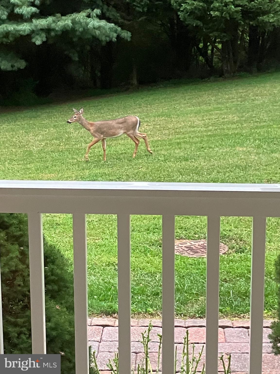 2016 Colora Road Colora, MD 21917 - Photo 14 of 133