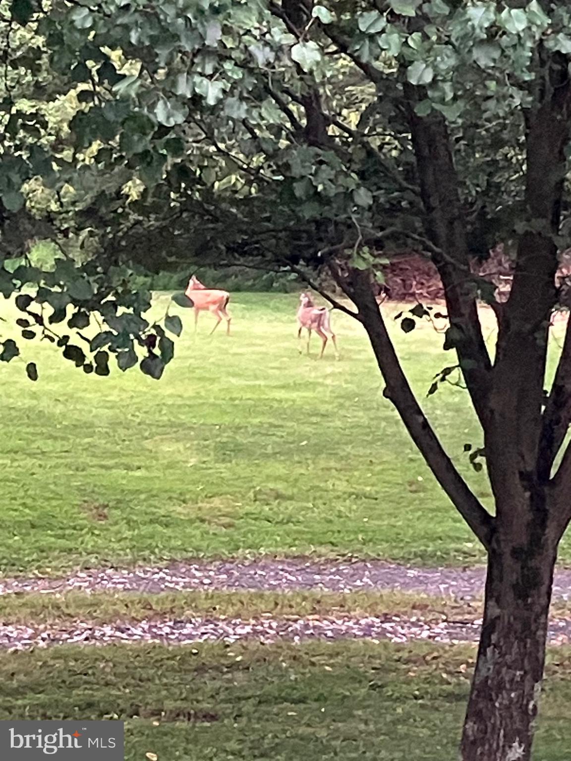 2016 Colora Road Colora, MD 21917 - Photo 15 of 133