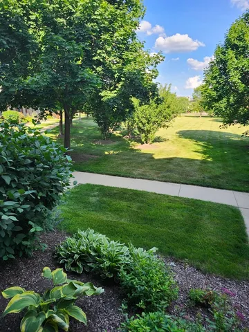 a view of yard with swimming pool and green space