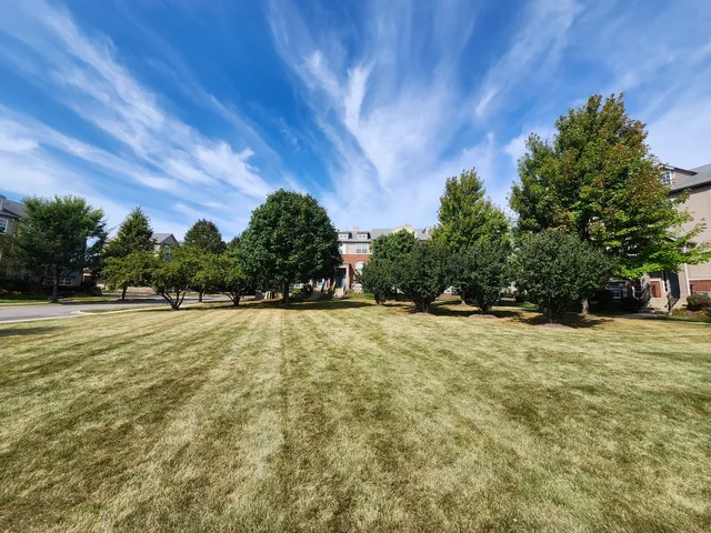 a view of a outdoor space