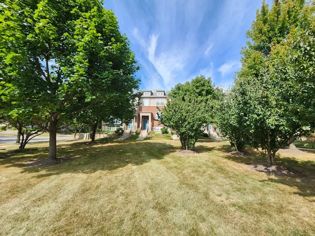 a view of a yard with a tree
