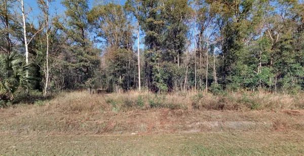 $50,000 | 4720 Jonathan Street, Hastings, FL 32145